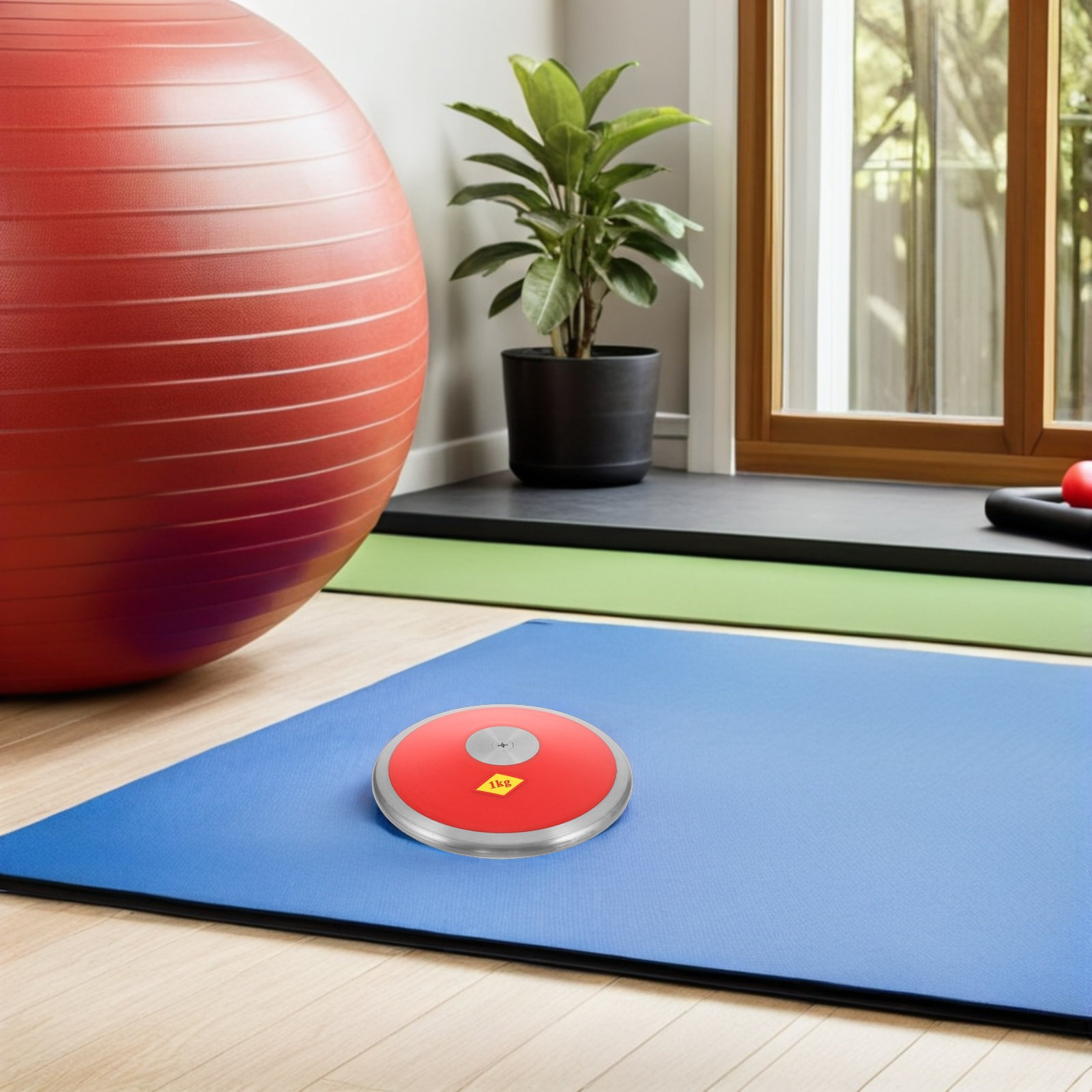 Disco de Treinamento em Nylon  - Sports Equipment Training avaliação e preço